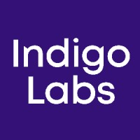 Tech Founder - Indigo Labs logo